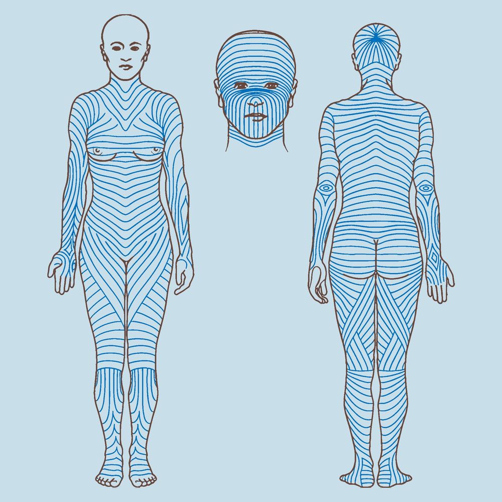 Mô phỏng đường căng da tự nhiên