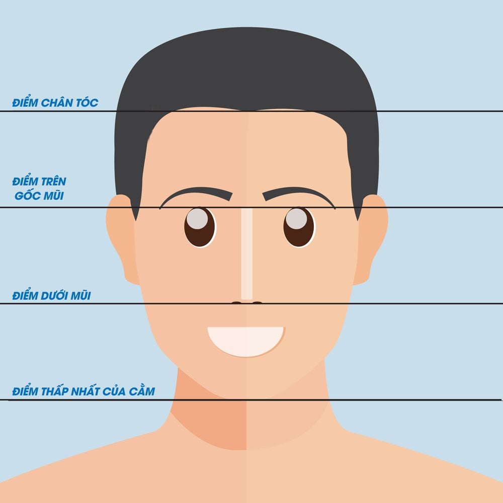 Tỷ lệ vàng khuôn mặt