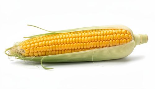 Slide item