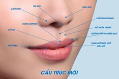 Thẩm mỹ nhân trung